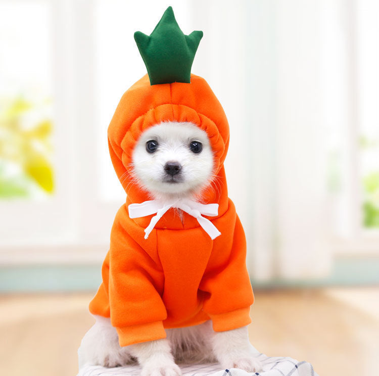 Dog Costume For the Winter